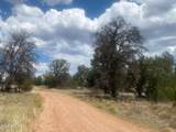 5785 Muytala Drive - Photo 1