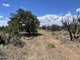 5785 Muytala Drive - Photo 14