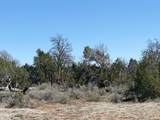 5785 Muytala Drive - Photo 21