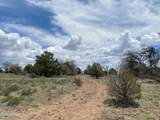 5785 Muytala Drive - Photo 27