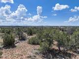 5785 Muytala Drive - Photo 34