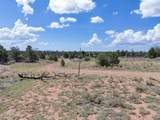 5785 Muytala Drive - Photo 38