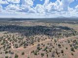 5785 Muytala Drive - Photo 45