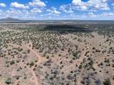 5785 Muytala Drive - Photo 46