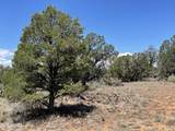 5785 Muytala Drive - Photo 8