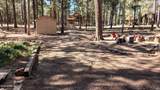 2425 Tall Trees Loop - Photo 10
