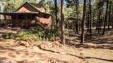 2425 Tall Trees Loop - Photo 12