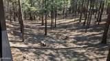 2425 Tall Trees Loop - Photo 30