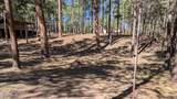 2425 Tall Trees Loop - Photo 40