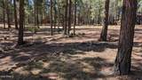 2425 Tall Trees Loop - Photo 41