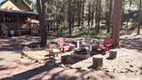 2425 Tall Trees Loop - Photo 9