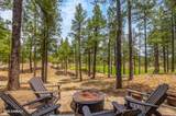 1734 Mossy Oak Court - Photo 17
