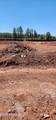 3725 Styx Lane - Photo 4