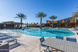 9559 Theia Drive - Photo 43