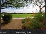3984 Robin Lane - Photo 53