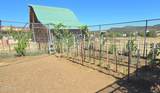624 Baker Ranch Road - Photo 87