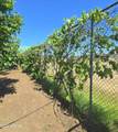 624 Baker Ranch Road - Photo 90