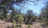 161 Cattle Drive - Photo 31