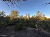 1806 Cliff Rose Drive - Photo 14