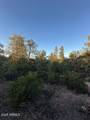 1806 Cliff Rose Drive - Photo 15