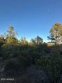 1806 Cliff Rose Drive - Photo 16