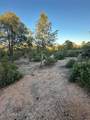 1806 Cliff Rose Drive - Photo 19