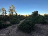 1806 Cliff Rose Drive - Photo 20