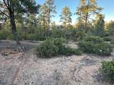 1806 Cliff Rose Drive - Photo 22