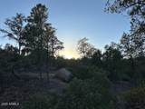 1806 Cliff Rose Drive - Photo 25