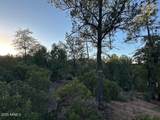1806 Cliff Rose Drive - Photo 26