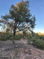 1806 Cliff Rose Drive - Photo 29