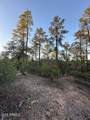 1806 Cliff Rose Drive - Photo 34