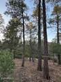 1806 Cliff Rose Drive - Photo 42