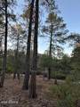 1806 Cliff Rose Drive - Photo 43