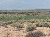 Lot 445 Carrizo Ranch - Photo 2