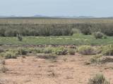 Lot 445 Carrizo Ranch - Photo 3