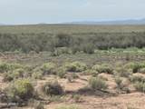 Lot 445 Carrizo Ranch - Photo 4