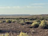 Lot 445 Carrizo Ranch - Photo 6