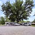 1460 Bates Road - Photo 6
