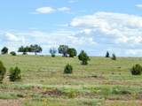 215 Gleed Station Rd Lot A 10 Acre - Photo 6