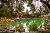 14023 Newcastle Drive - Photo 48