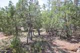 243 Wild Oak Drive - Photo 38