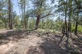 243 Wild Oak Drive - Photo 39
