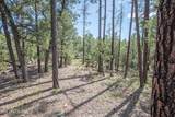 243 Wild Oak Drive - Photo 40