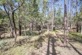 243 Wild Oak Drive - Photo 44