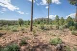 243 Wild Oak Drive - Photo 46