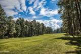 2864 Woodpecker Lane - Photo 40