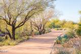 9226 Horseshoe Bend Drive - Photo 49