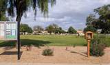 10756 Citrus Grove Way - Photo 42