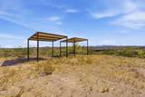 37827 Gods Country Road - Photo 70